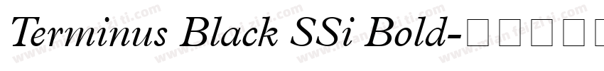 Terminus Black SSi Bold字体转换